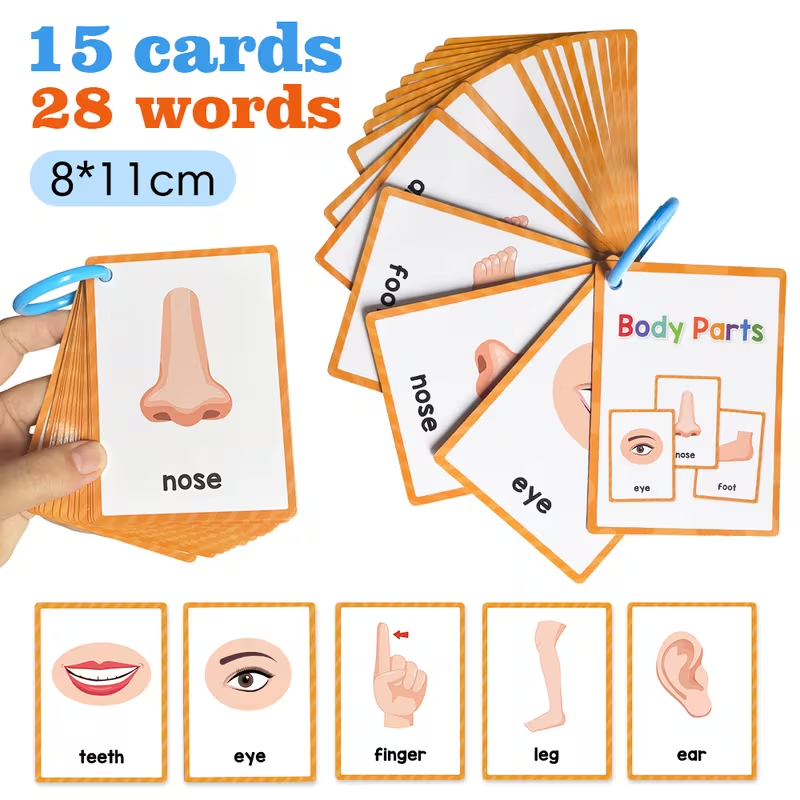 Flash Cards Body Parts